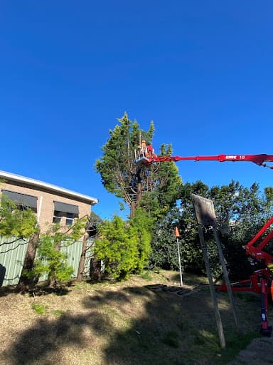 Chop n Drop Tree Specialists — Customer photo