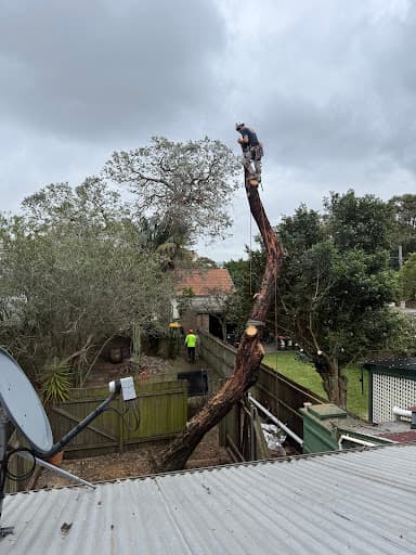 JW Tree Services — Customer photo