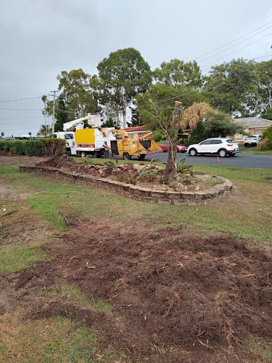 Arborist Tree Techs — Customer photo