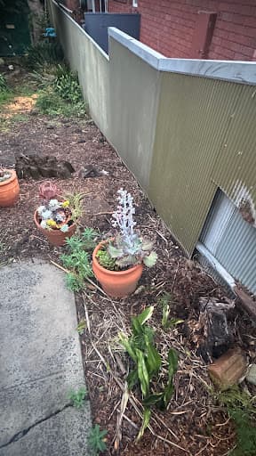 Southside Stump Grinding - Stump Removal Wollongong — Customer photo
