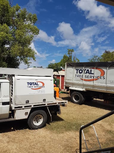 Total Tree Services — Customer photo