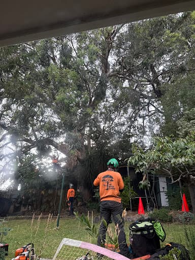 The Higher Climber Tree Services — Customer photo