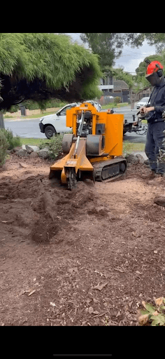 Get Stumped — Customer photo