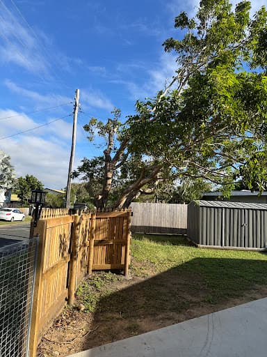 The Tree Expert — Customer photo