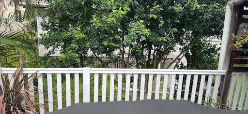 Brisbane Tree Experts — Customer photo