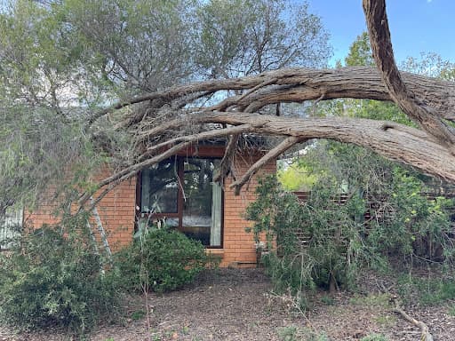 O'Briens Tree Services Canberra — Customer photo