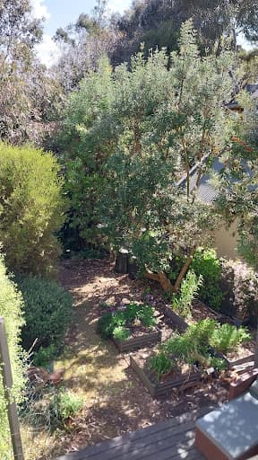 Rapid Tree Solutions — Customer photo