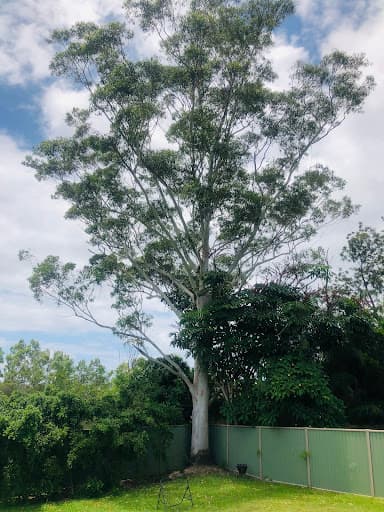 Eden Tree Service — Customer photo