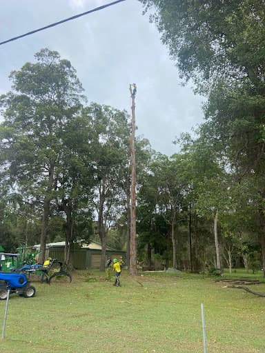 Arborclimb — Customer photo