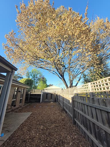 Max Tree Services — Customer photo