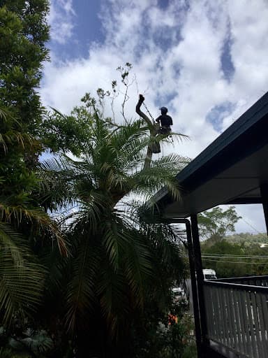 Acclaim Tree Care & Services — Customer photo