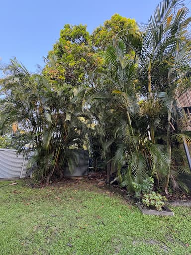 Hinterland Tree and Stump Removal Sunshine Coast — Customer photo