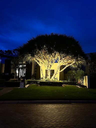Tree Essence | Gold Coast Arborists — Customer photo