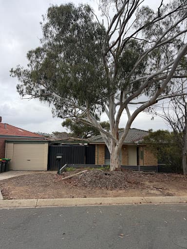 Stump’d Tree Removal Canberra — Customer photo