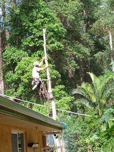 Mudjimba Tree Services — Customer photo