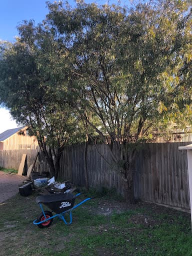 Mystic Tree Services — Customer photo