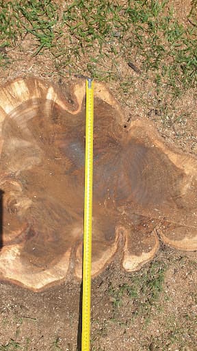 EJR Tree Services — Customer photo