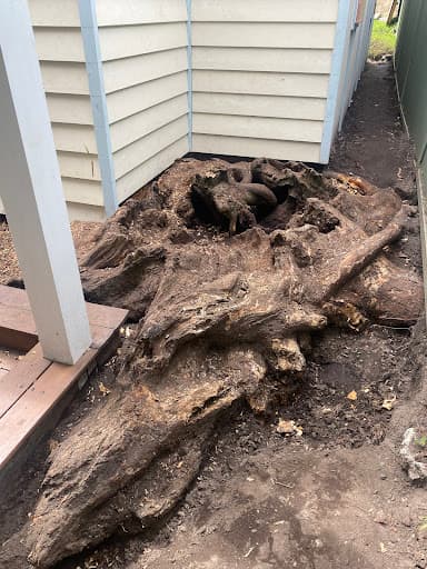 ABC All Tree Services Stump arborist tree lopping — Customer photo