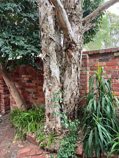Redback Tree Services — Customer photo