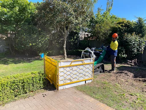 Banyan Tree Care — Customer photo