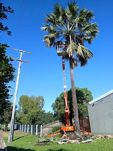 Townsville Stump Tree Surgeons — Customer photo
