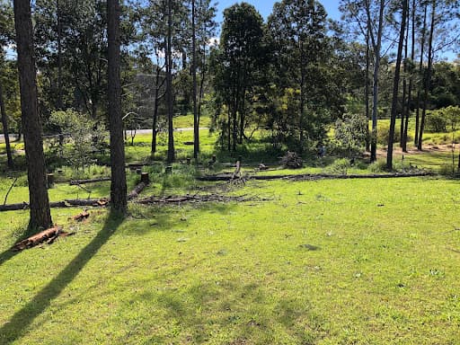 Tree Doctor Tasmania — Customer photo
