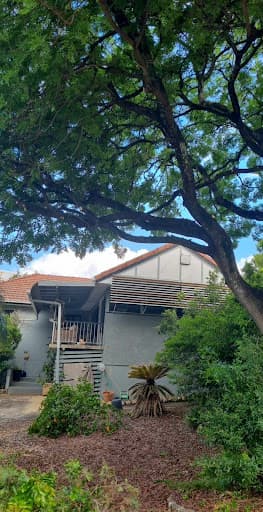 Sustainable Tree Care — Customer photo