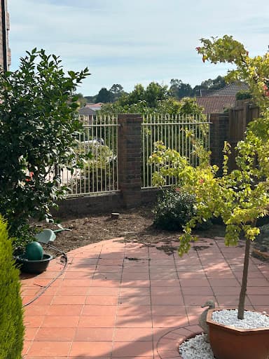 The Tree Company — Customer photo