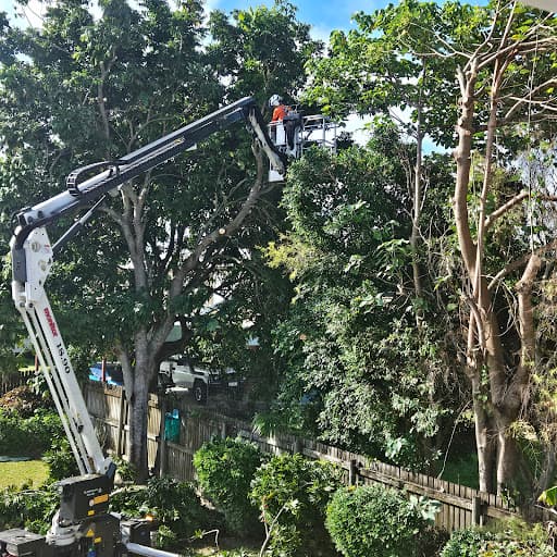 DAM Services - Diverse Asset Maintenance Services — Customer photo