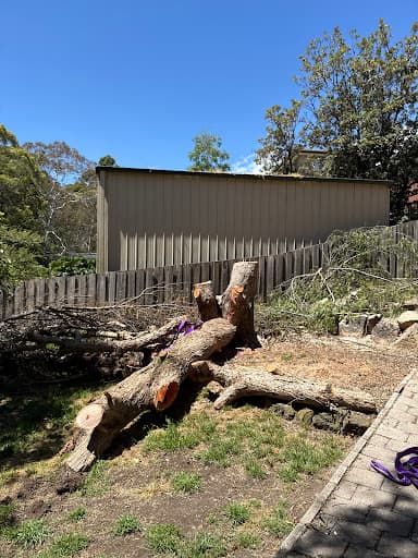 Tree Guy Tasmania Pty Ltd — Customer photo
