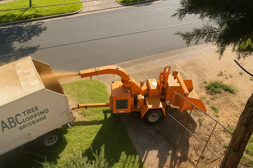 ABC Tree Lopping Brisbane — Customer photo