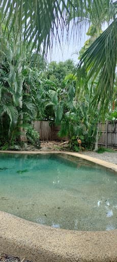 Tree Shepherd FNQ — Customer photo