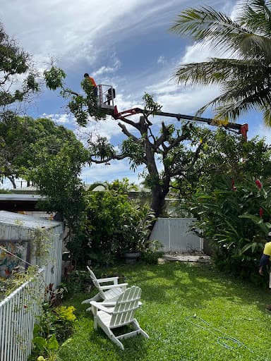 Tree Change NQ — Customer photo