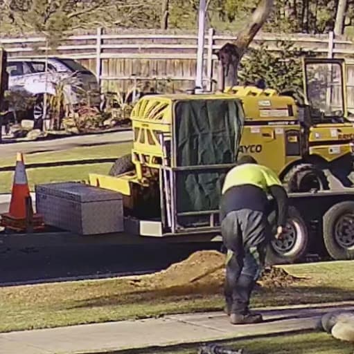 The Tree Company — Customer photo