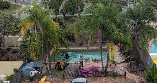 Caloundra Trees — Customer photo