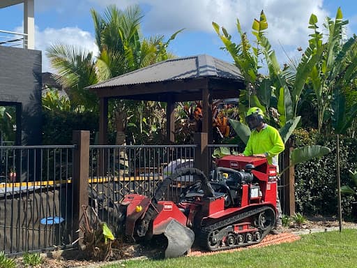 ASAP Stump Grinding — Customer photo