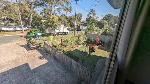 Sustainable Tree Care — Customer photo