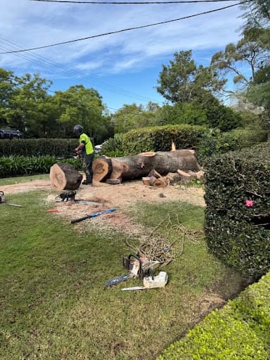 Arbor Co Tree Services — Customer photo