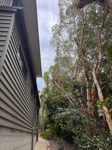 Greenish Tree Care — Customer photo