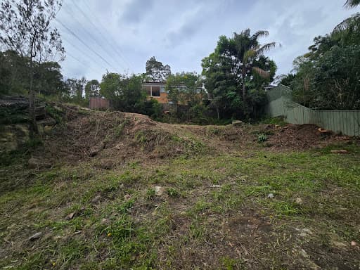 All Sydney Tree Services — Customer photo