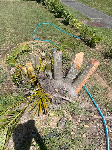 Speedy Stump Grinding — Customer photo