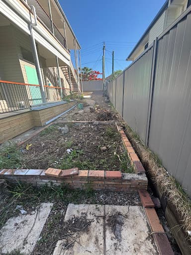 Budget Tree Removal — Customer photo