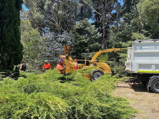Dan & Rob Tree Specialists — Customer photo