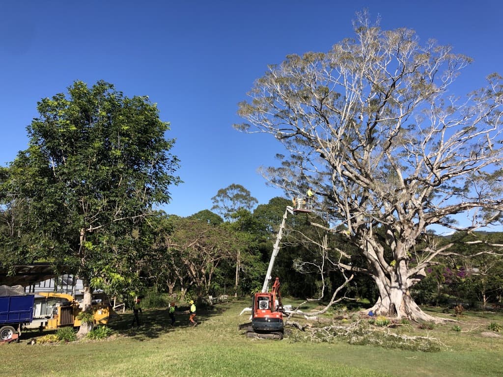 Treesafe Australia Pty Ltd
