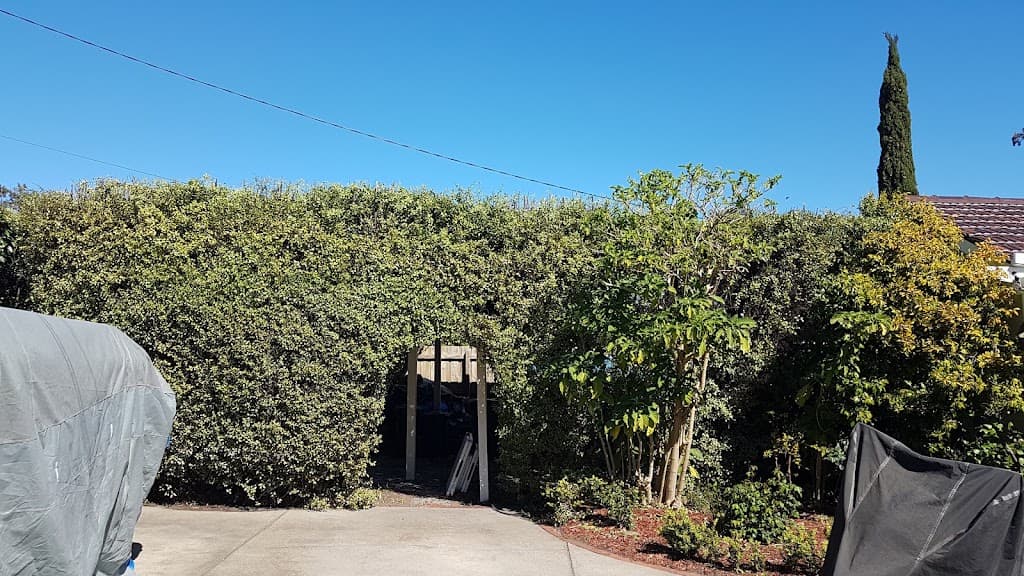 Hedge Works Geelong
