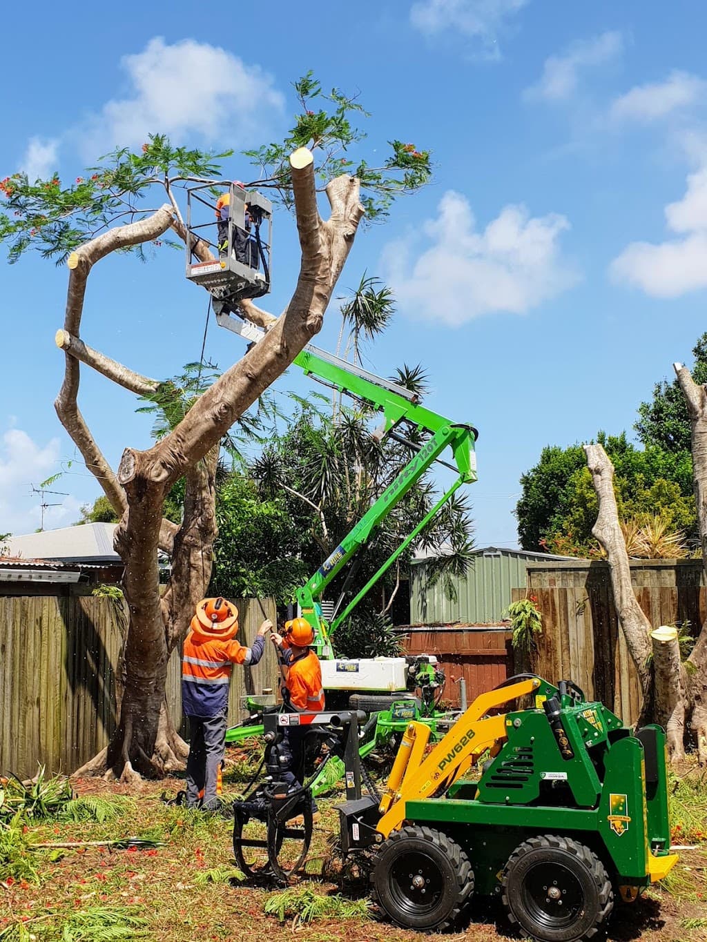 Sunshine Coast Tree Services