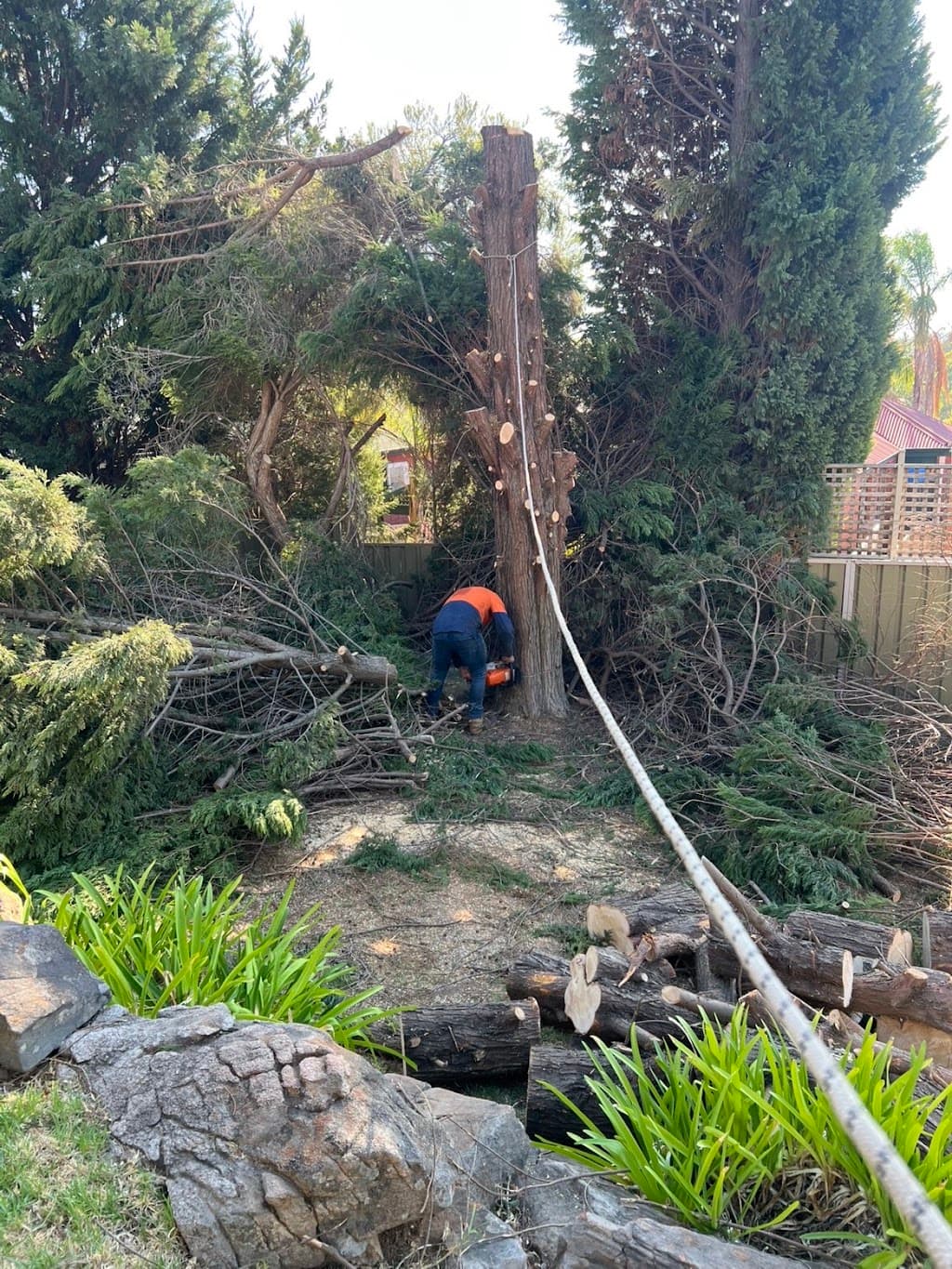 Total Trees and Gardens