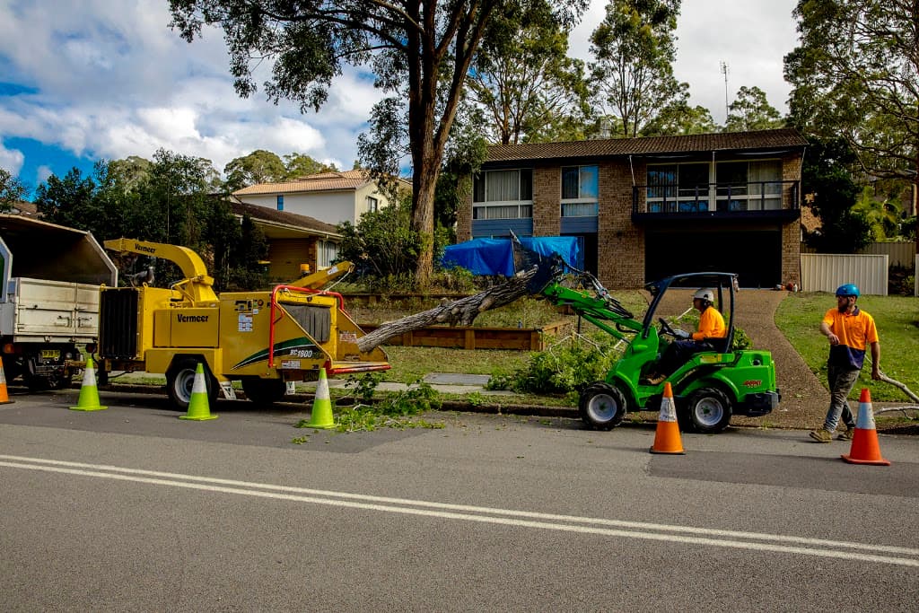 Able Tree Services
