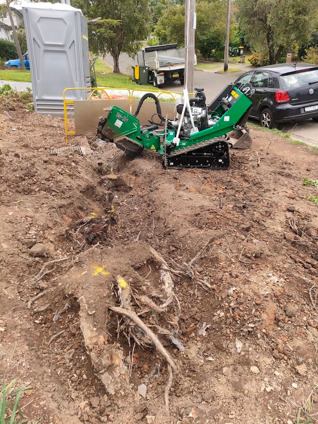 Western Sydney Stump Grinding & Tree Removal Services
