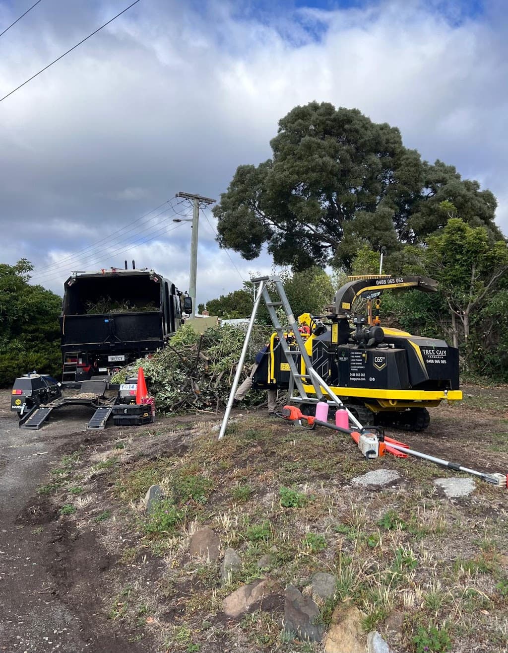 Tree Guy Tasmania Pty Ltd